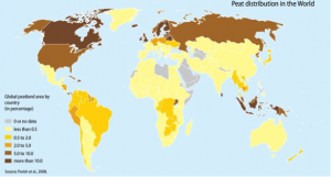 Distribution of peatlands across the world with important deposits in Southeast Asia, Siberia, northern Europe, Canada, and Alaska. Globally, peatlands store as much as 610 petagrams of C (1 petagram = 1 gigatonne = 1015 grams), representing 20 – 30% of the planet’s terrestrial organic C mass (Page et al., 2011). 